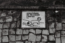 000029a.JPG
