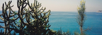 000015-w.jpg