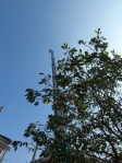 100_7003.JPG