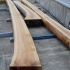 P1010065-w.jpg