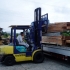 P1010066-w.jpg