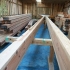 100_9028-w.jpg