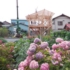 100_6069.jpg