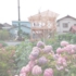 100_6069.jpg
