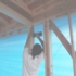 100_6233.jpg