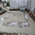 100_6460.jpg